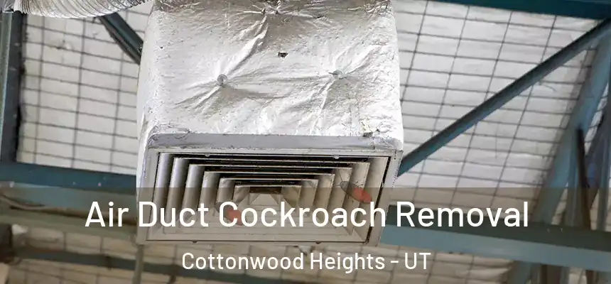 Air Duct Cockroach Removal Cottonwood Heights - UT