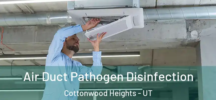 Air Duct Pathogen Disinfection Cottonwood Heights - UT