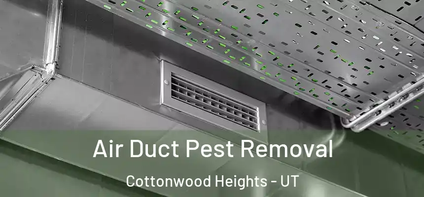 Air Duct Pest Removal Cottonwood Heights - UT
