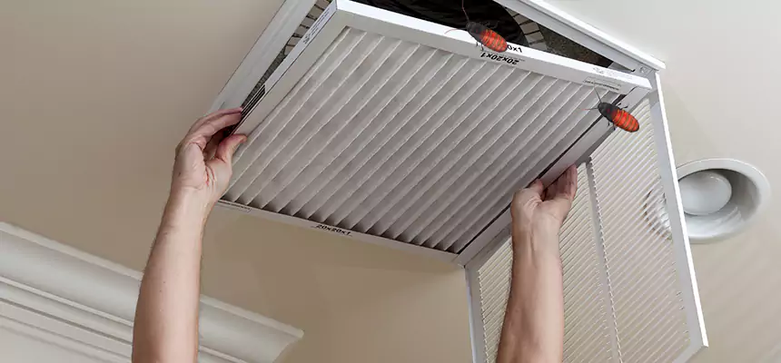 Preventive Cockroach-Proofing for Ducts in Cottonwood Heights