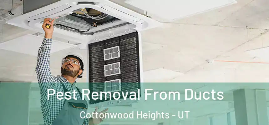  Pest Removal From Ducts Cottonwood Heights - UT