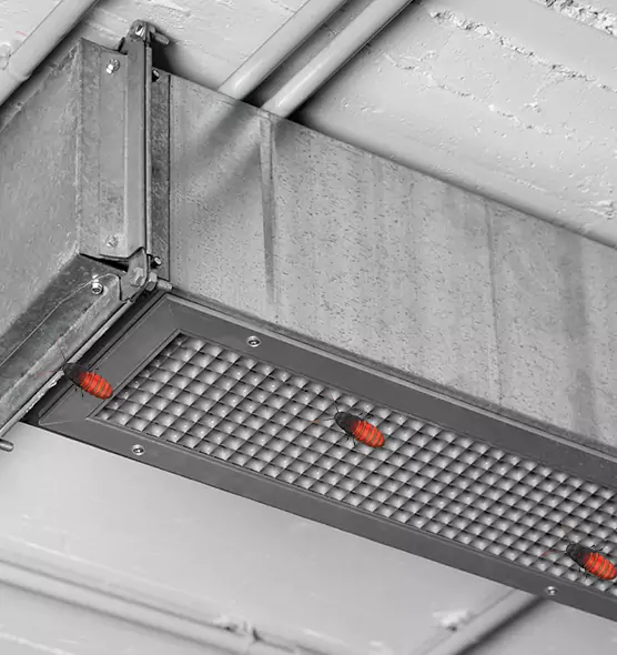 About Air Duct Cockroach Removal in Cottonwood Heights, UT