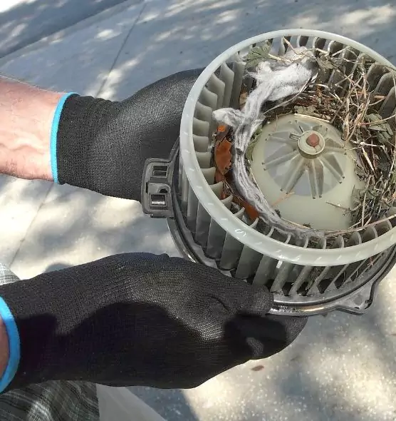 About Air Duct Rat Removal in Cottonwood Heights, UT