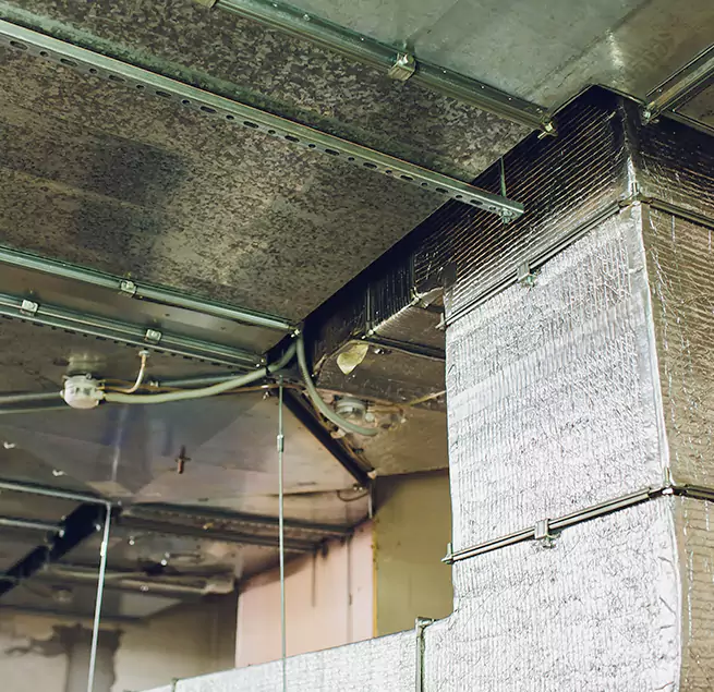 Why Homeowners & Businesses Trust Us in Cottonwood Heights, UT?